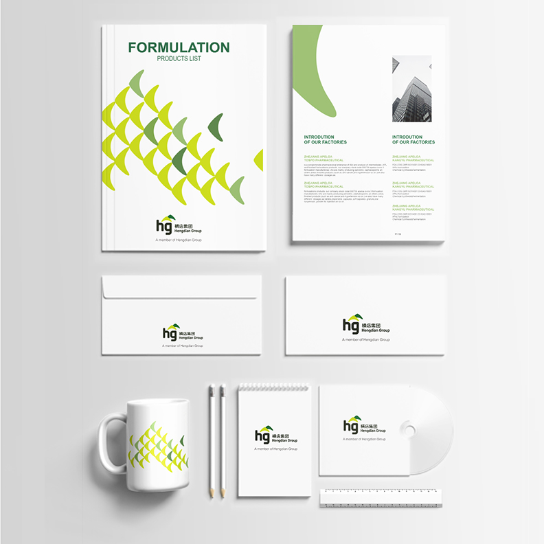 横店集团画册设计、vi应用设计