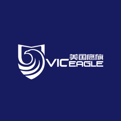 美国鹰旗logo设计