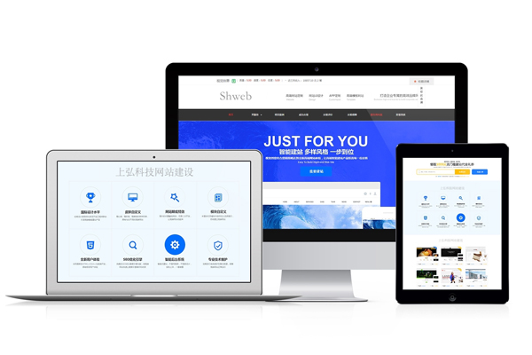 贞丰网站SEO优化需要注意的几个问题