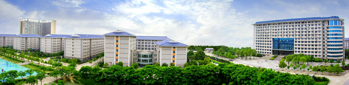 贞丰做网站优化的公司